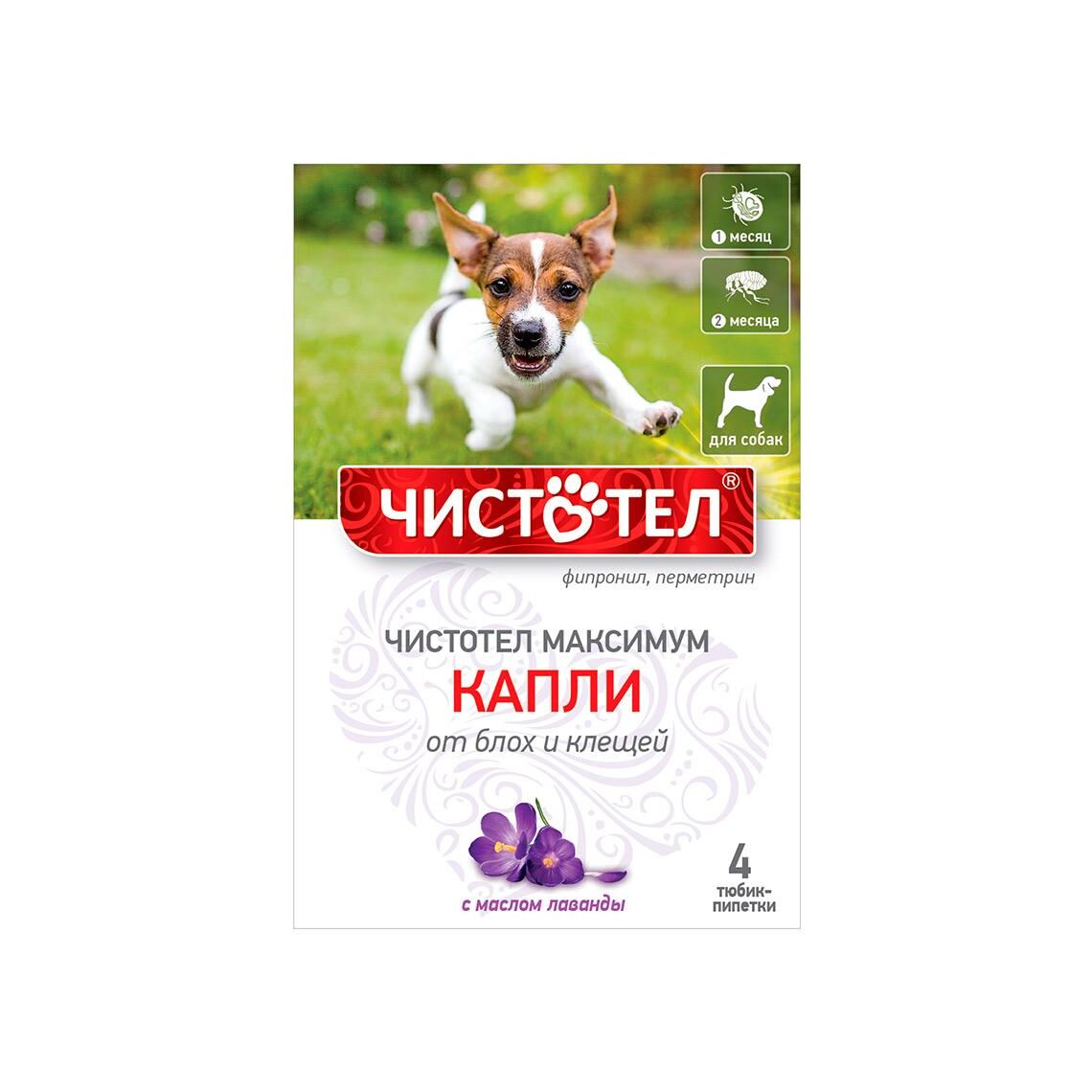Чистотел максимум капли от блох и клещей, для собак, с лавандой, 4 пипетки