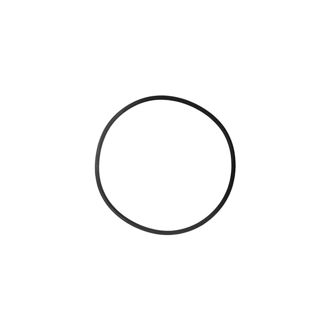 TETRA Кольцо-прокладка для переливных трубок EX 1200