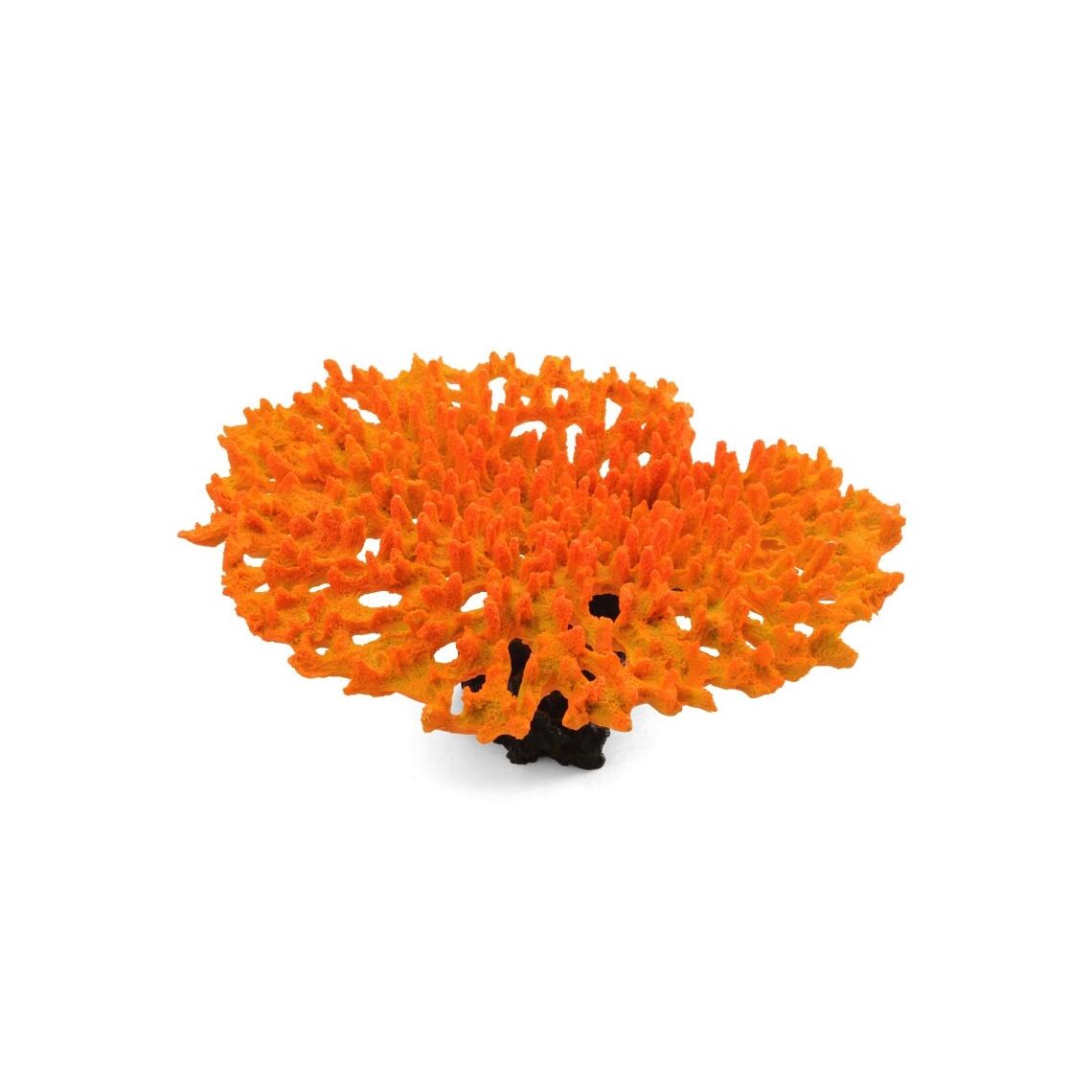 Коралл керам 304 КА Хиднофора LAGUNA