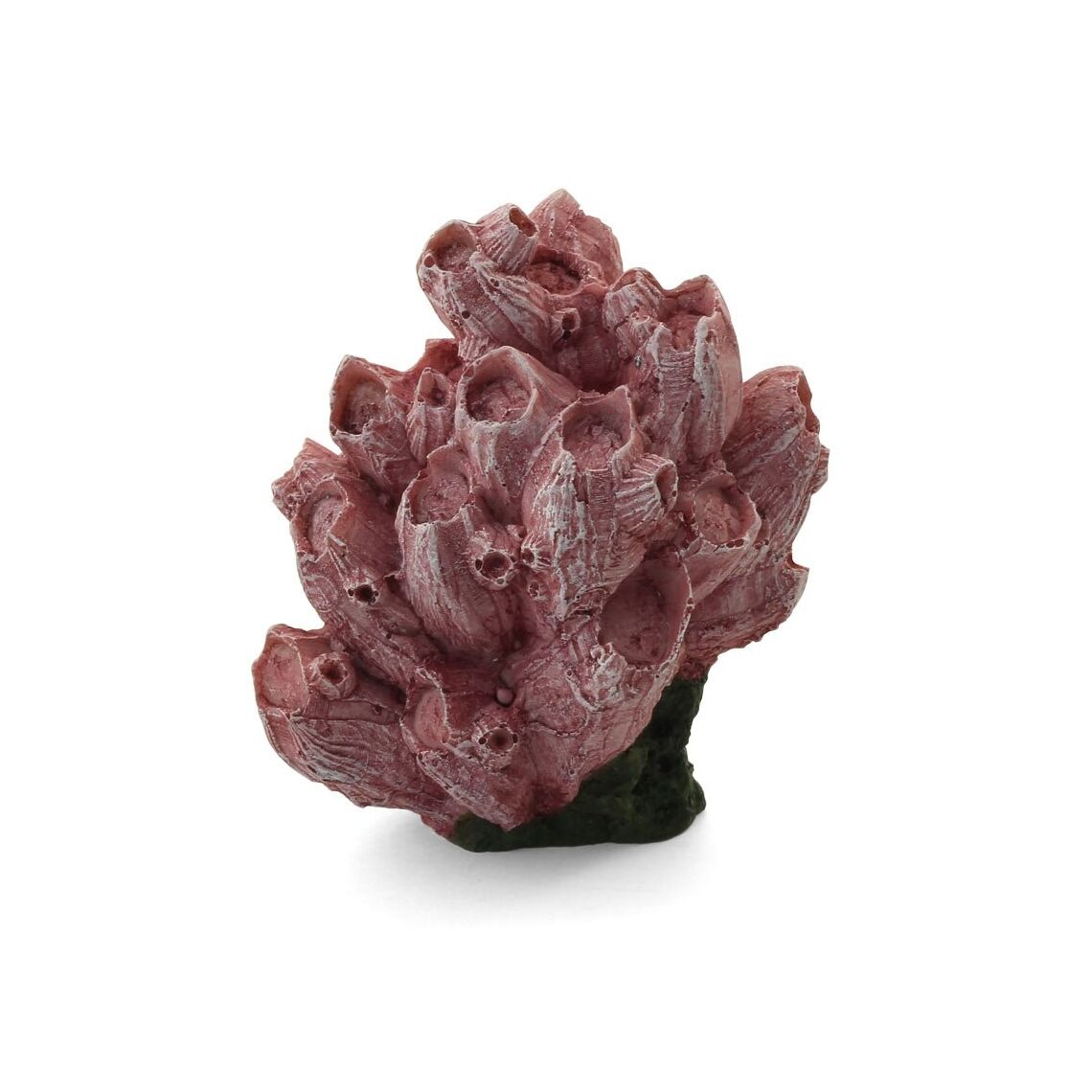 Коралл керам 333 КА Балянус LAGUNA