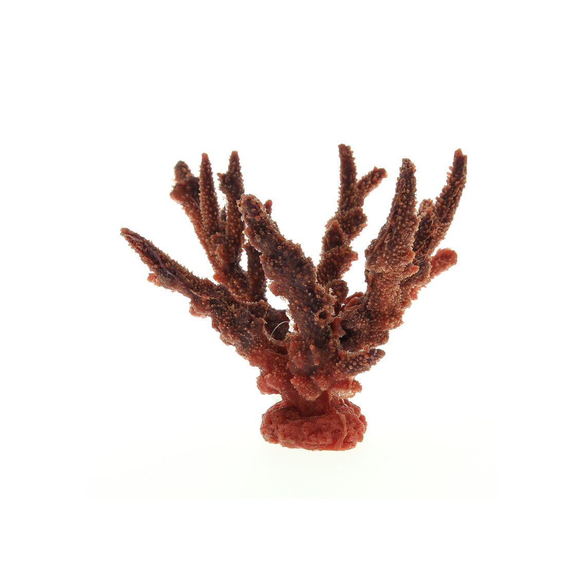 Коралл пластиковый SH035R