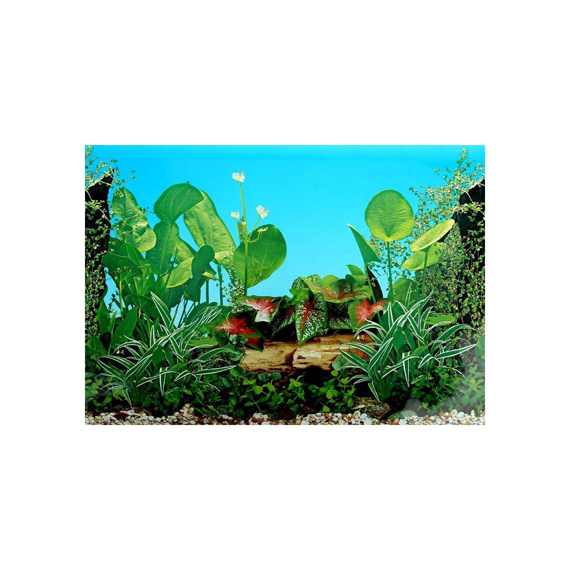 Фон плёнка одностороний 71см с растениями