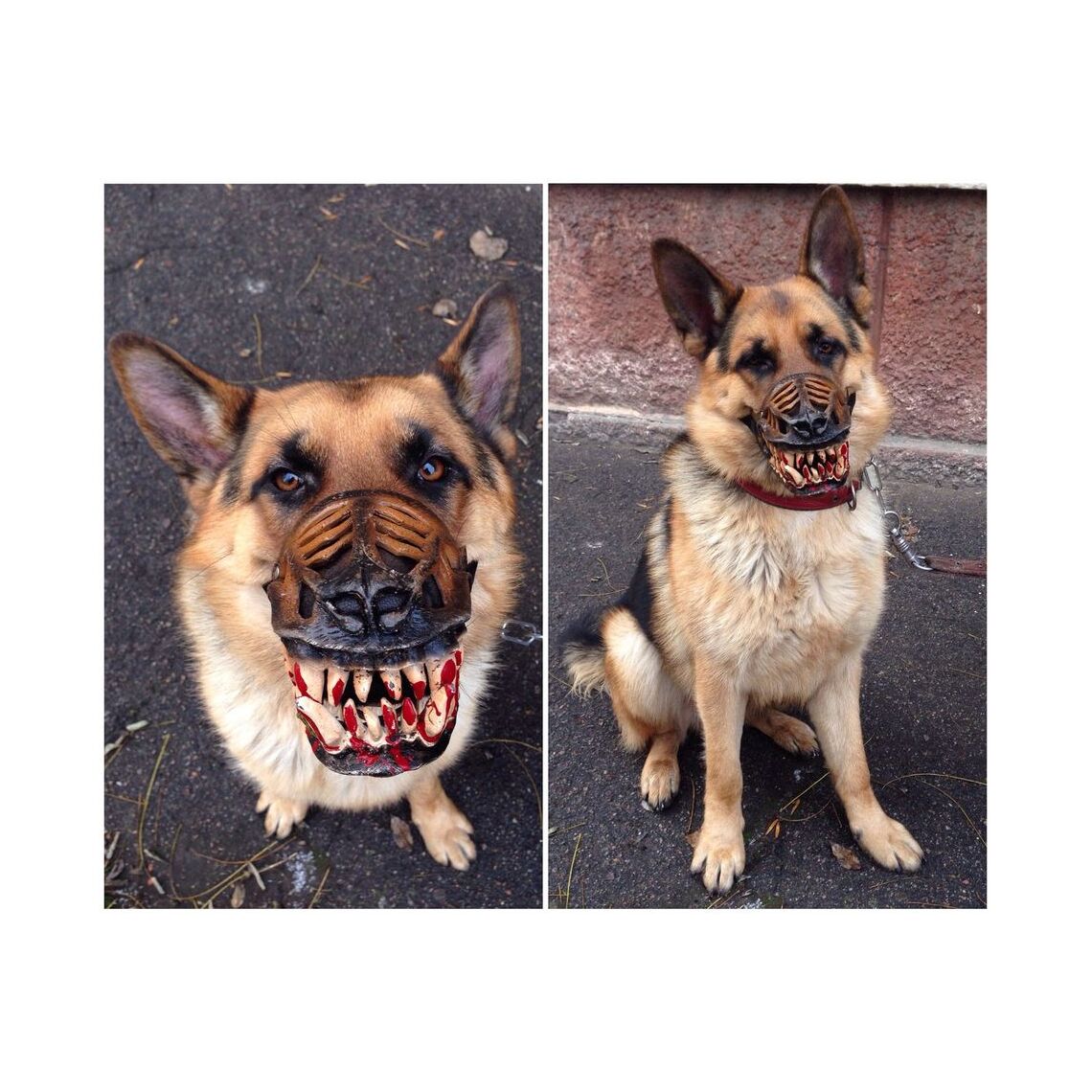 Намордник д/собак Оборотень Классик №4  22 см