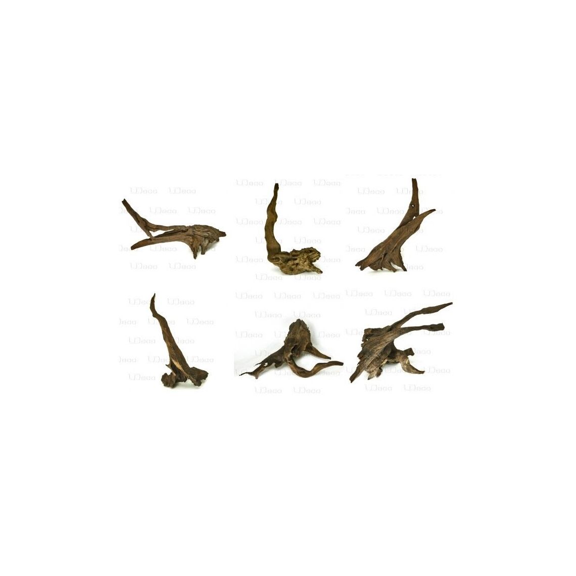 Коряга "Железная" М