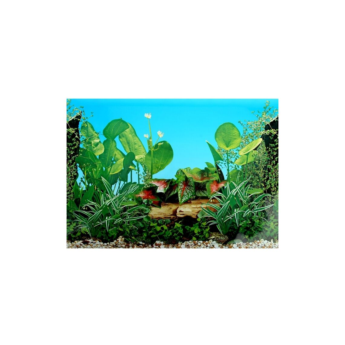 Фон пресноводный с растениями 50 см