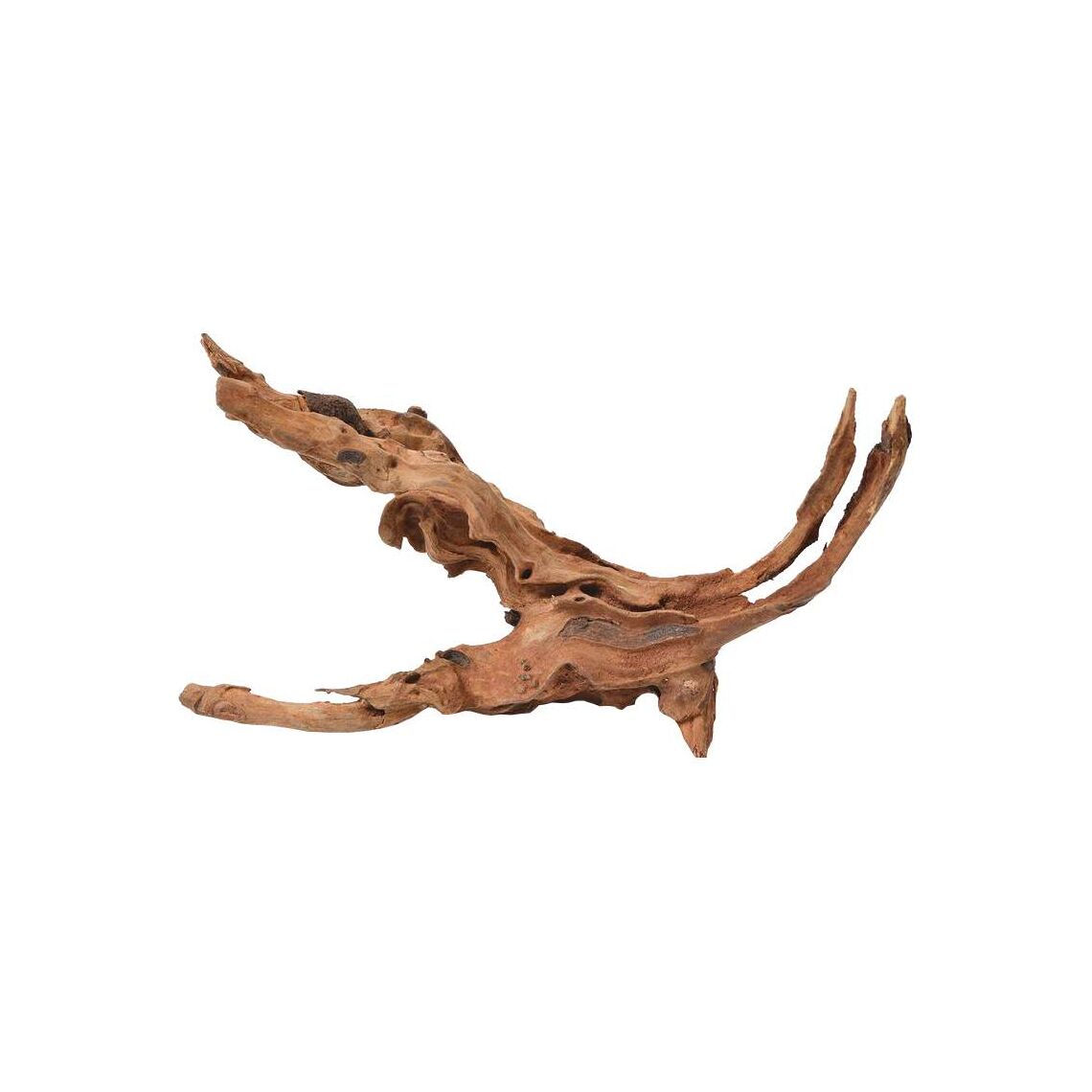 UDECO Коряга Китайская Натуральная XL