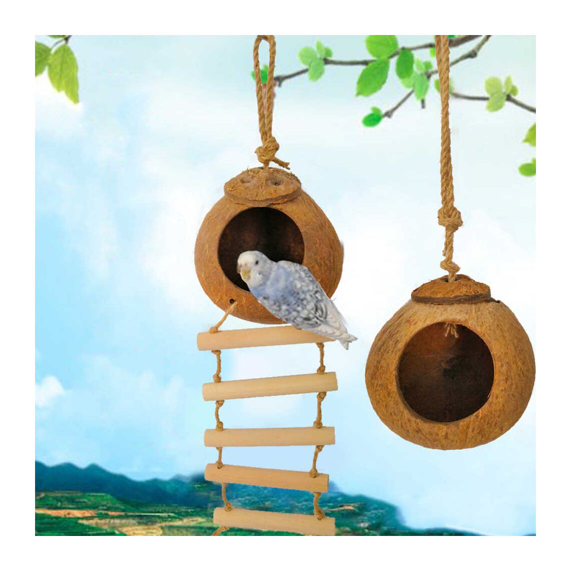 Домик для птиц из кокоса с лестницей