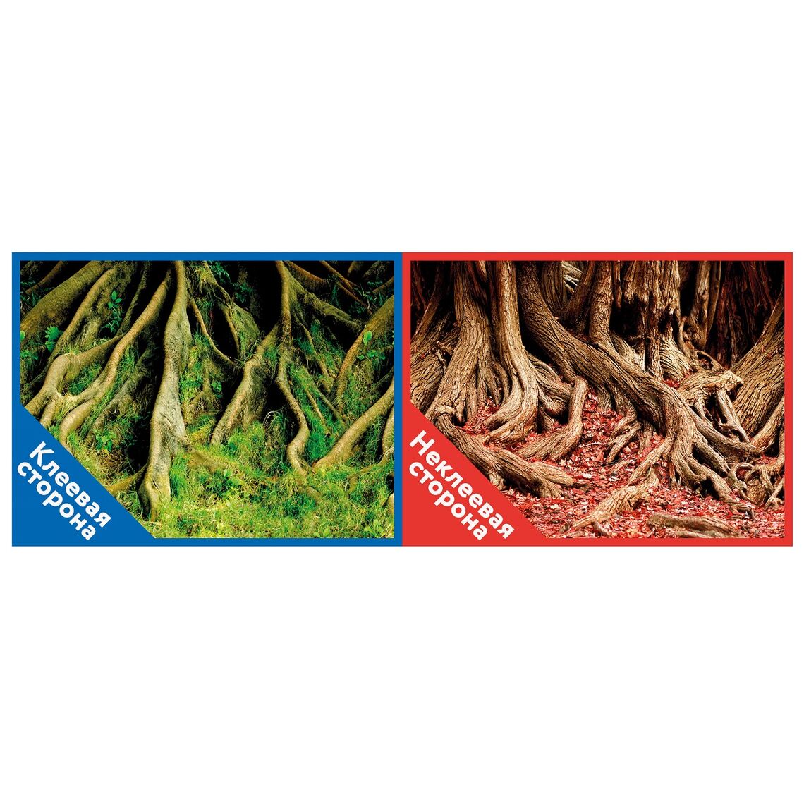 Фон PRIME Двусторонний Корни с мхом/Корни с листьями 60*150
