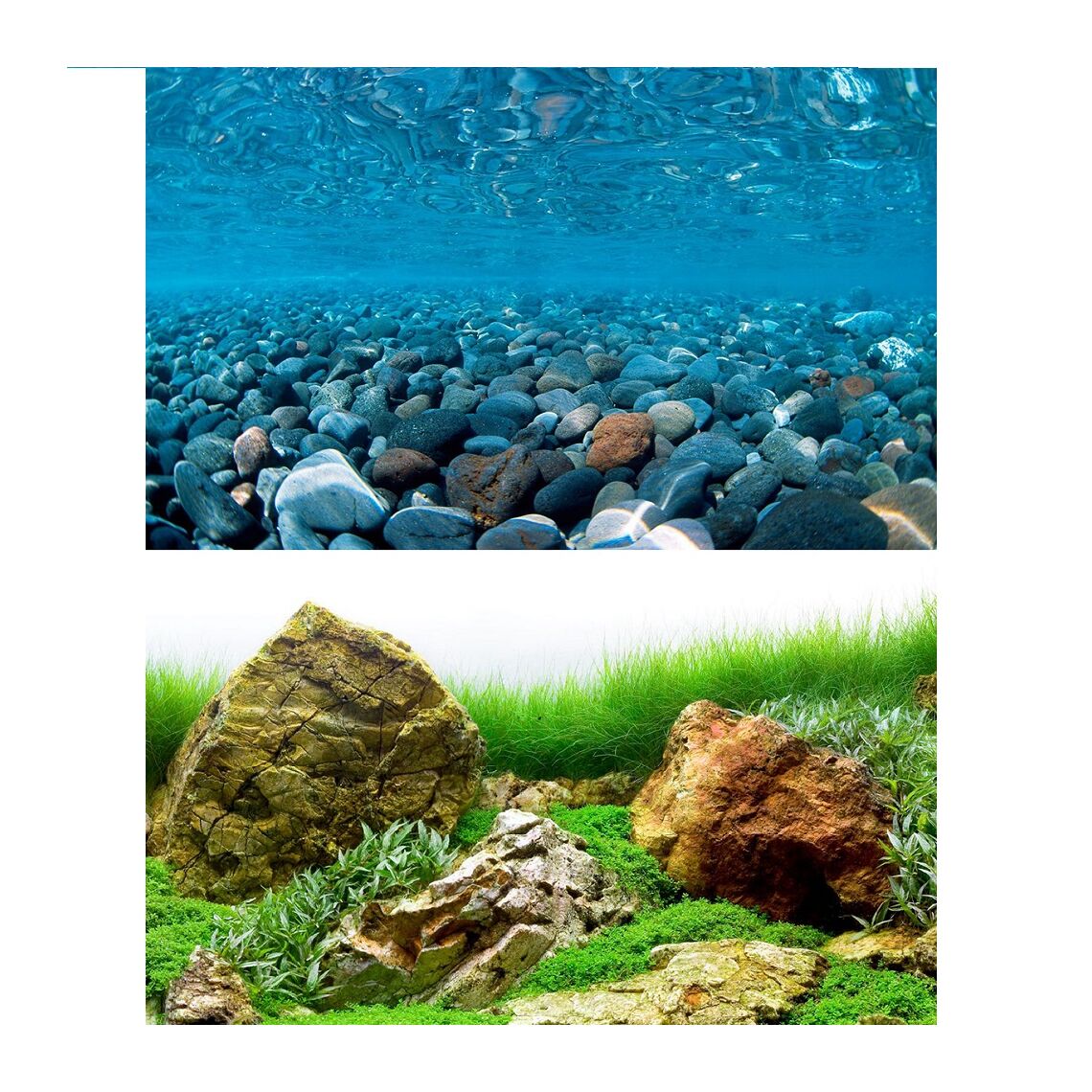 Фон Горная река/Зеленое море BARBUS 60 см