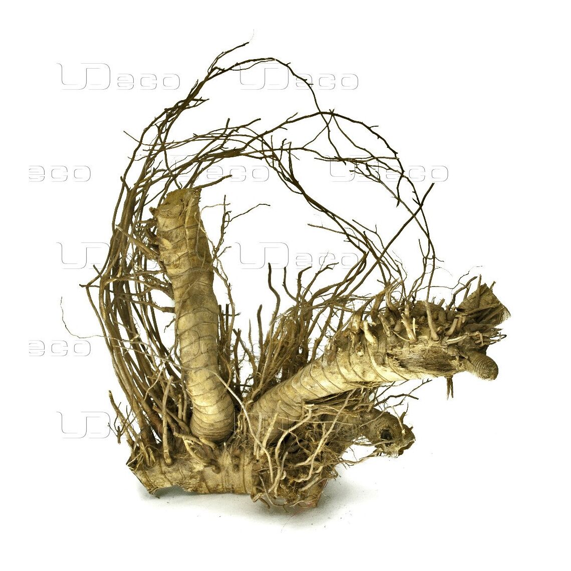 UDECO Коряга Корень Бамбука L