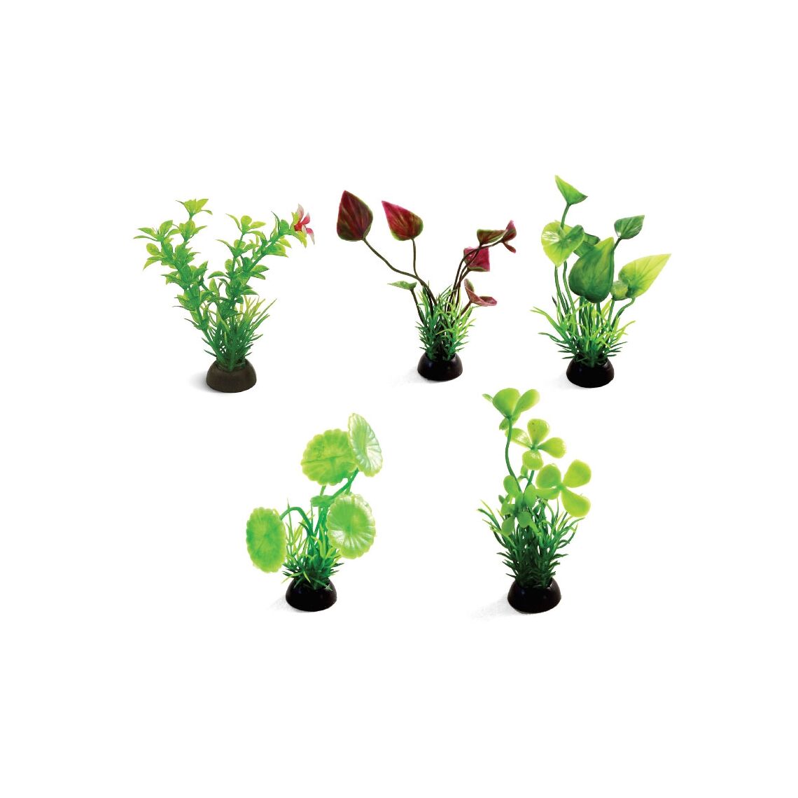 Laguna Растения набор