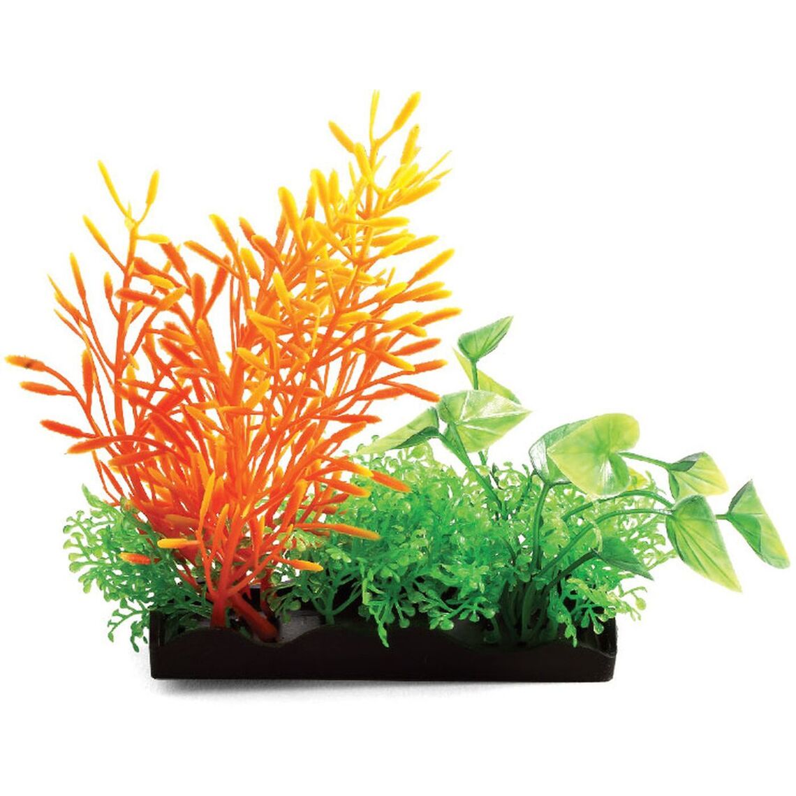 Laguna Растения композиция оранж