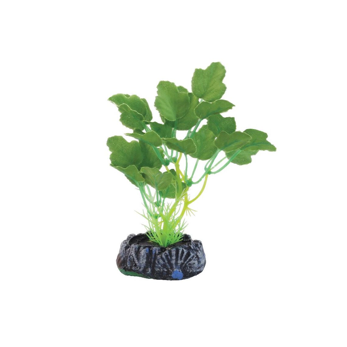 Laguna Растение шелк ГИДРОКОТИЛА 70 мм.