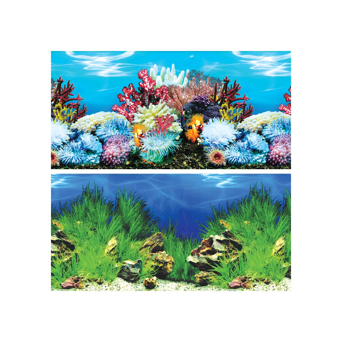 Laguna Фон У береговАвстралии/Холмистая долина 500*1000мм