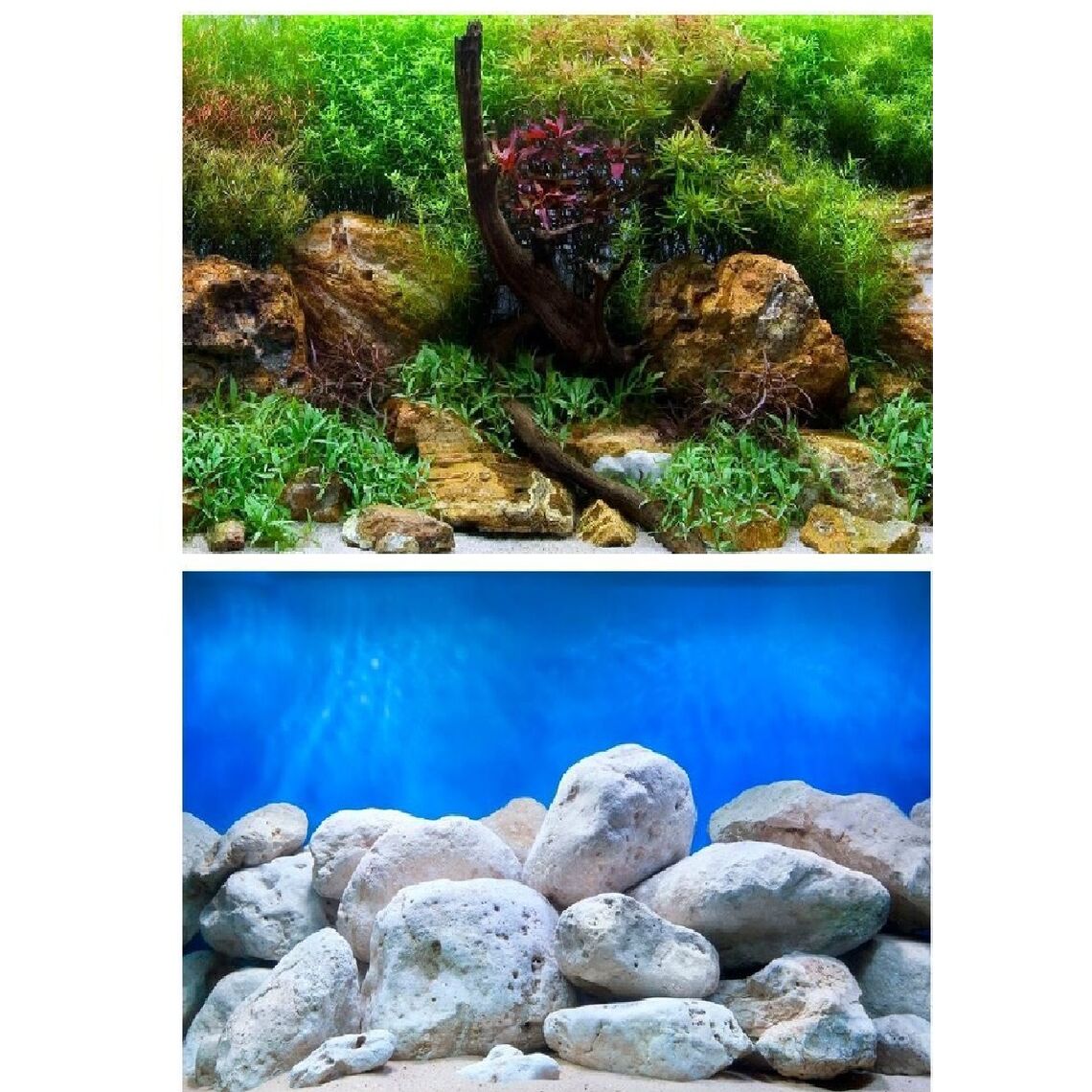 BARBUS Фон Водный сад/Яркие камни 30 см