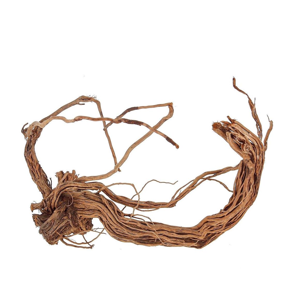 Коряга Ветвистая Вес