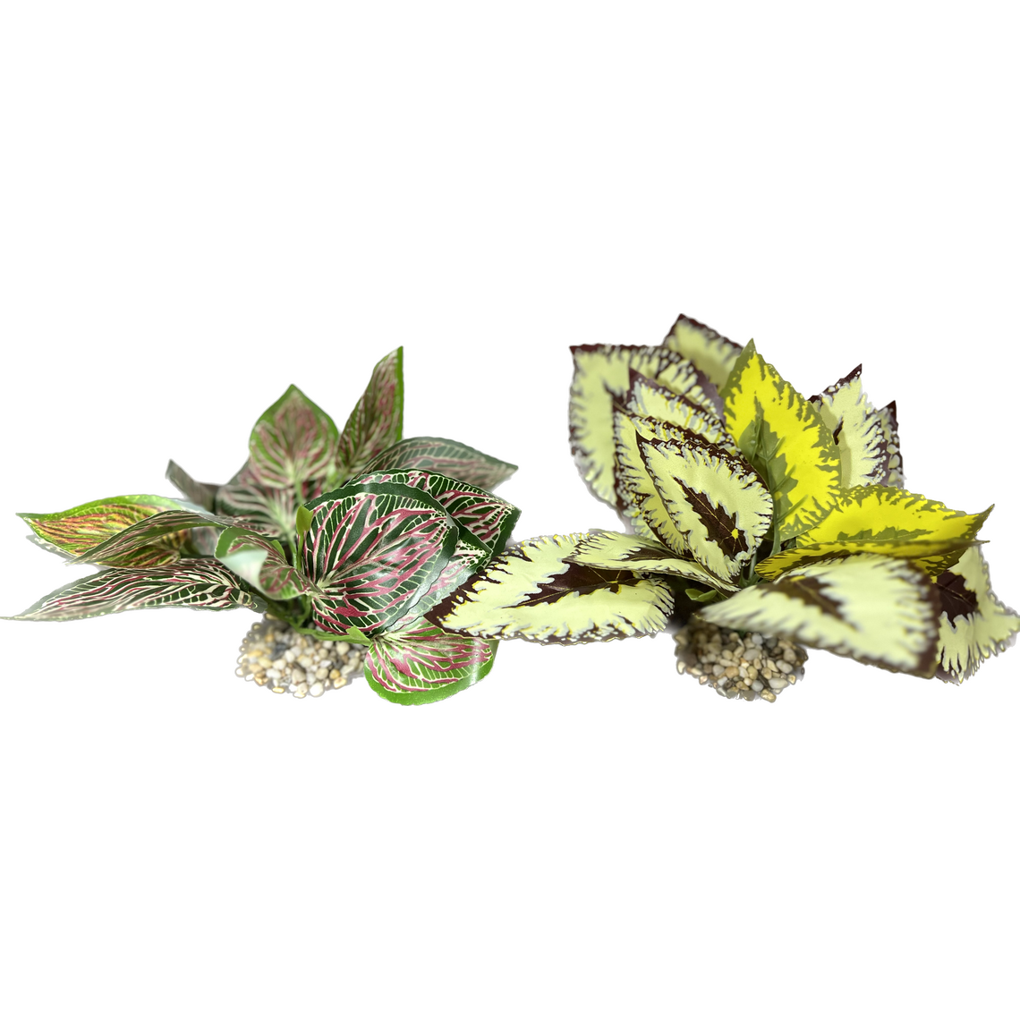 Искусственное растение Колеус 20 см Коллекция