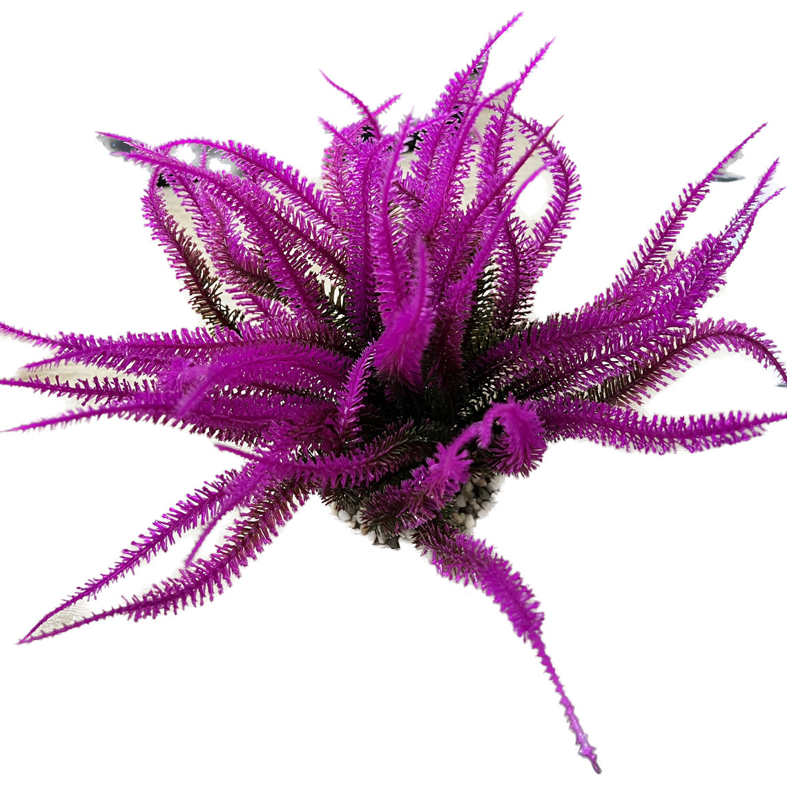 Искусственное растение Морские цветы фиолетовый 20 см Коллекция