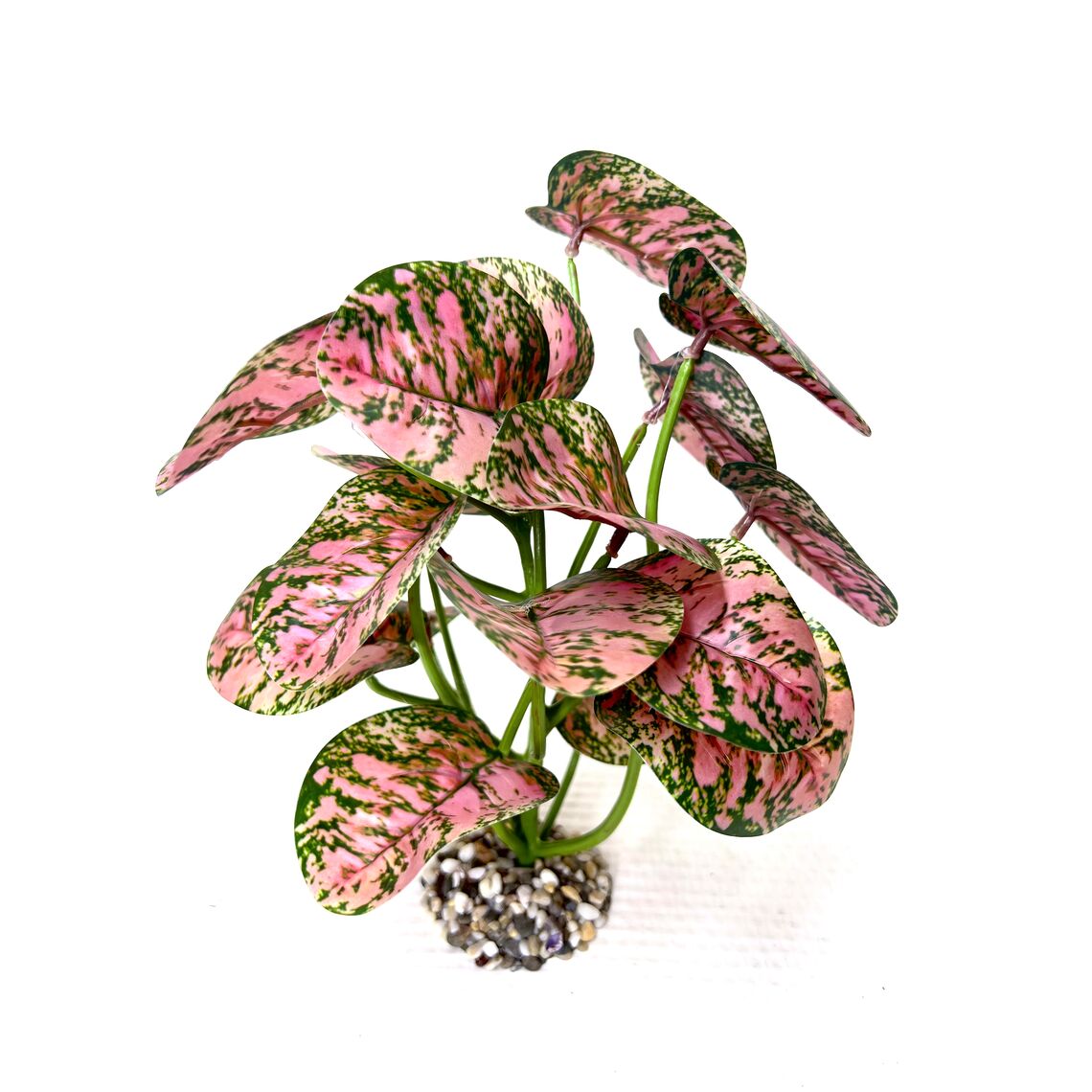 Искусственное растение  Диффенбахия 3 25  см Коллекция