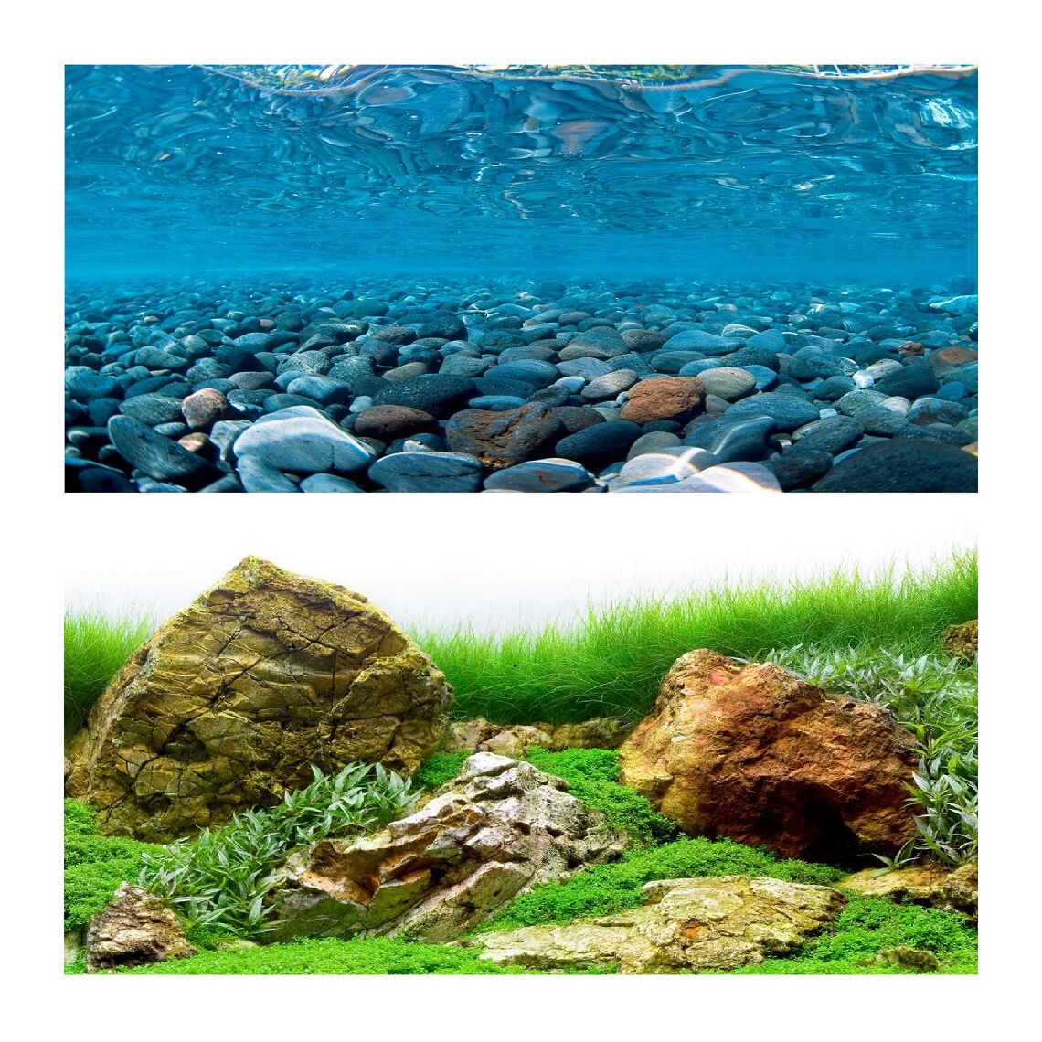BARBUS Фон двуxсторонний Горная река/Зеленое море 100 см