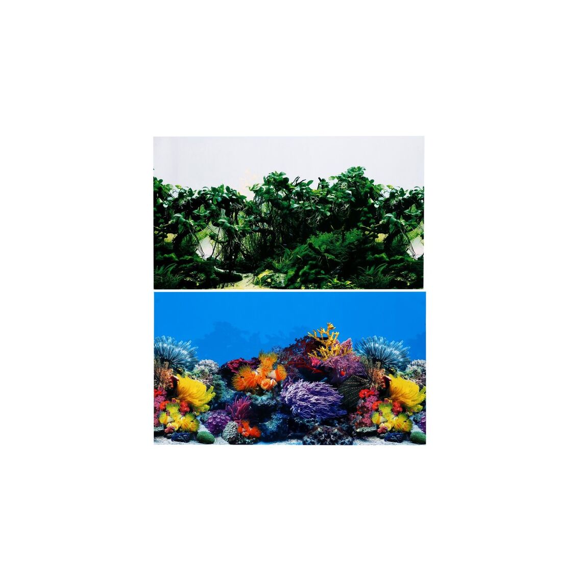 Фон для аквариума двухсторонний, 30 х 50 см 64ВА-1127