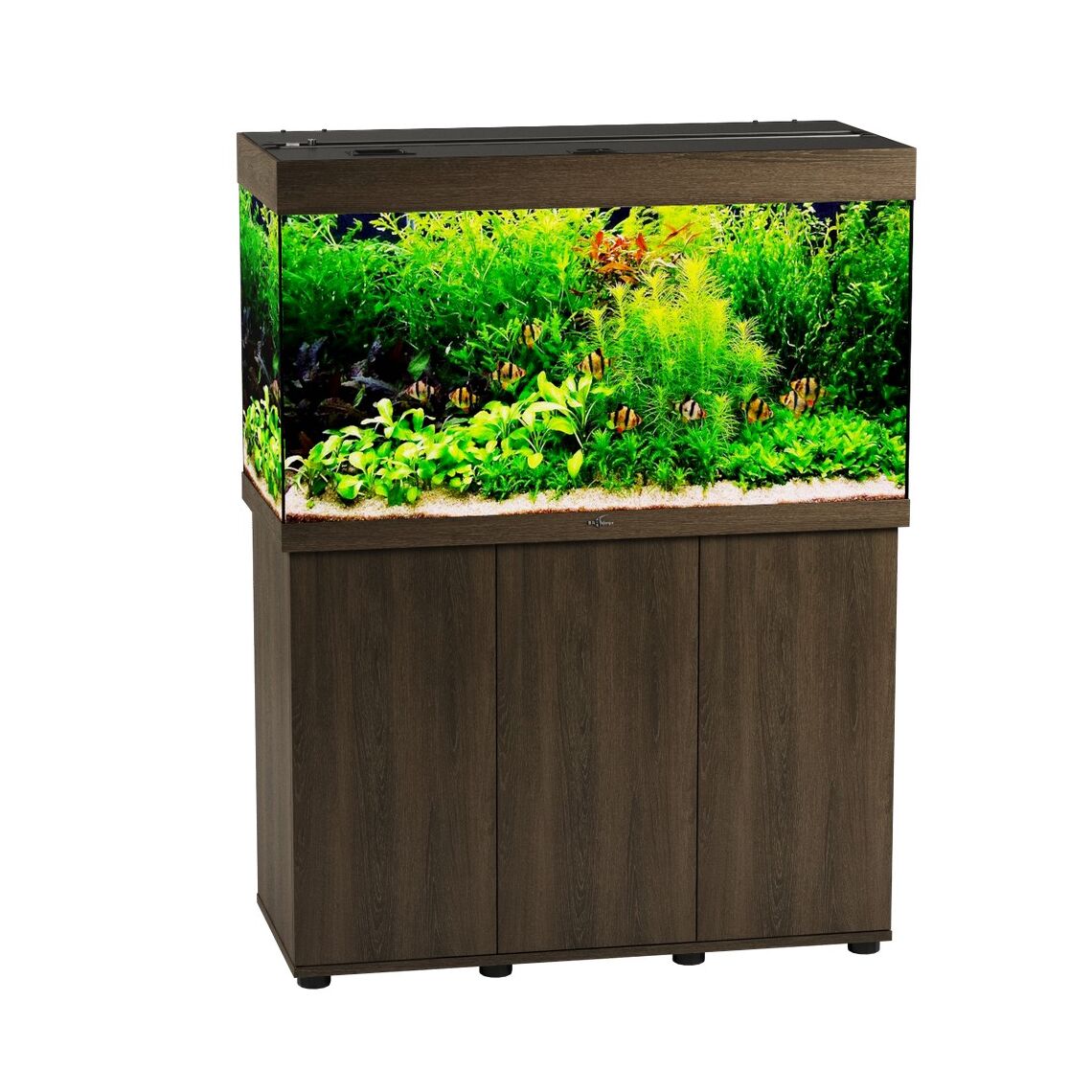 Аквариумный комплекс РИФ 240 Золотой орех 225л 101*46*60см