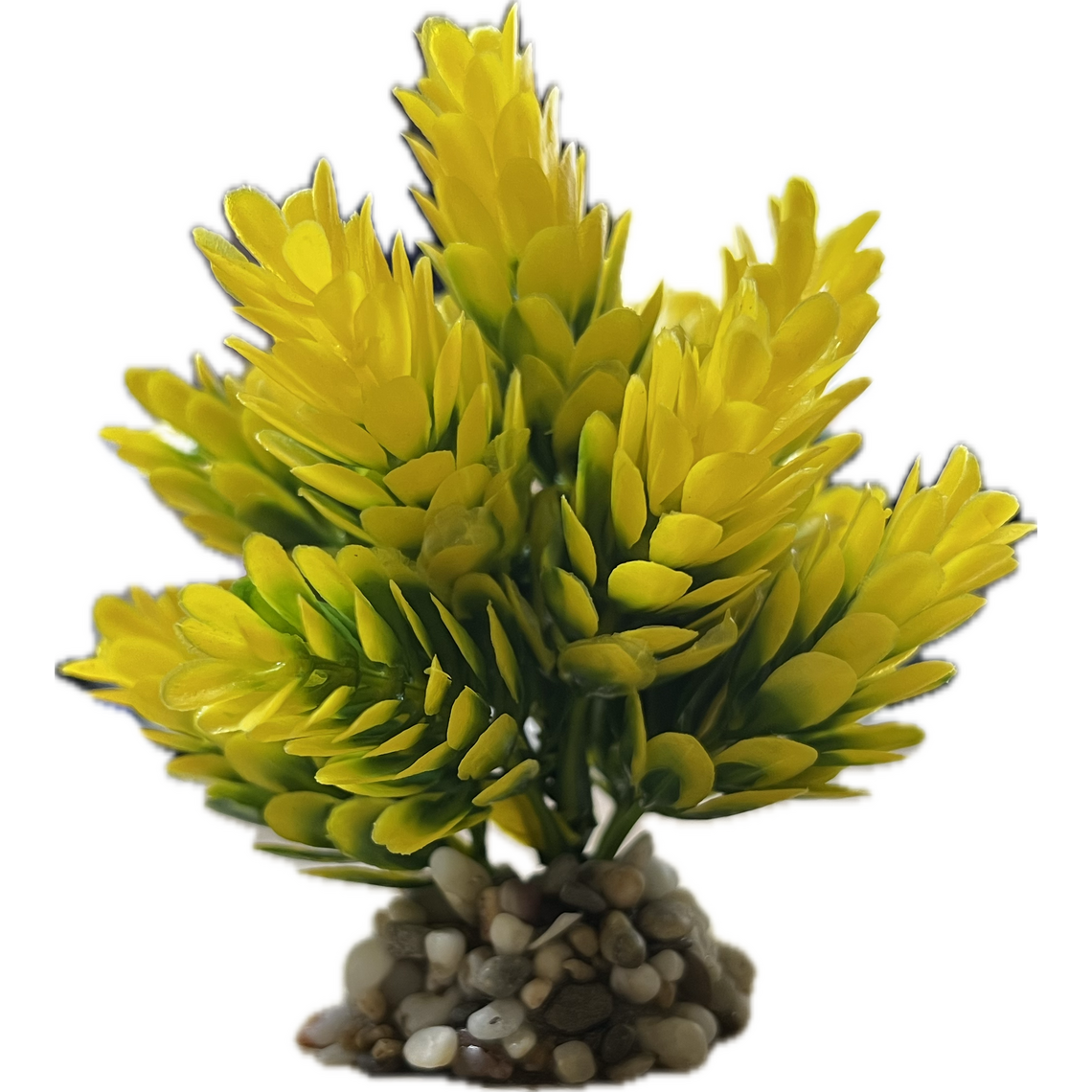 Искусственное растение "Золотая рыбка" 10 см Д