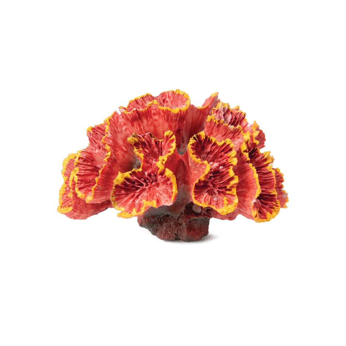 Laguna Коралл искусственный "Кауластрея" красная 70x50x45мм