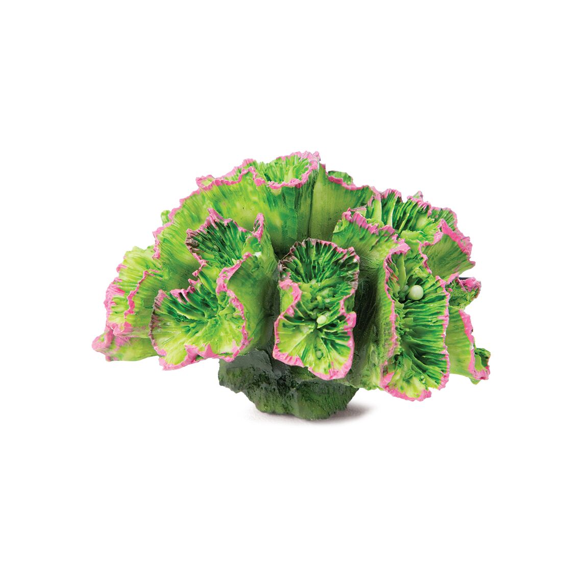 Laguna Коралл искусственный "Кауластрея" зеленая 70x50x45мм