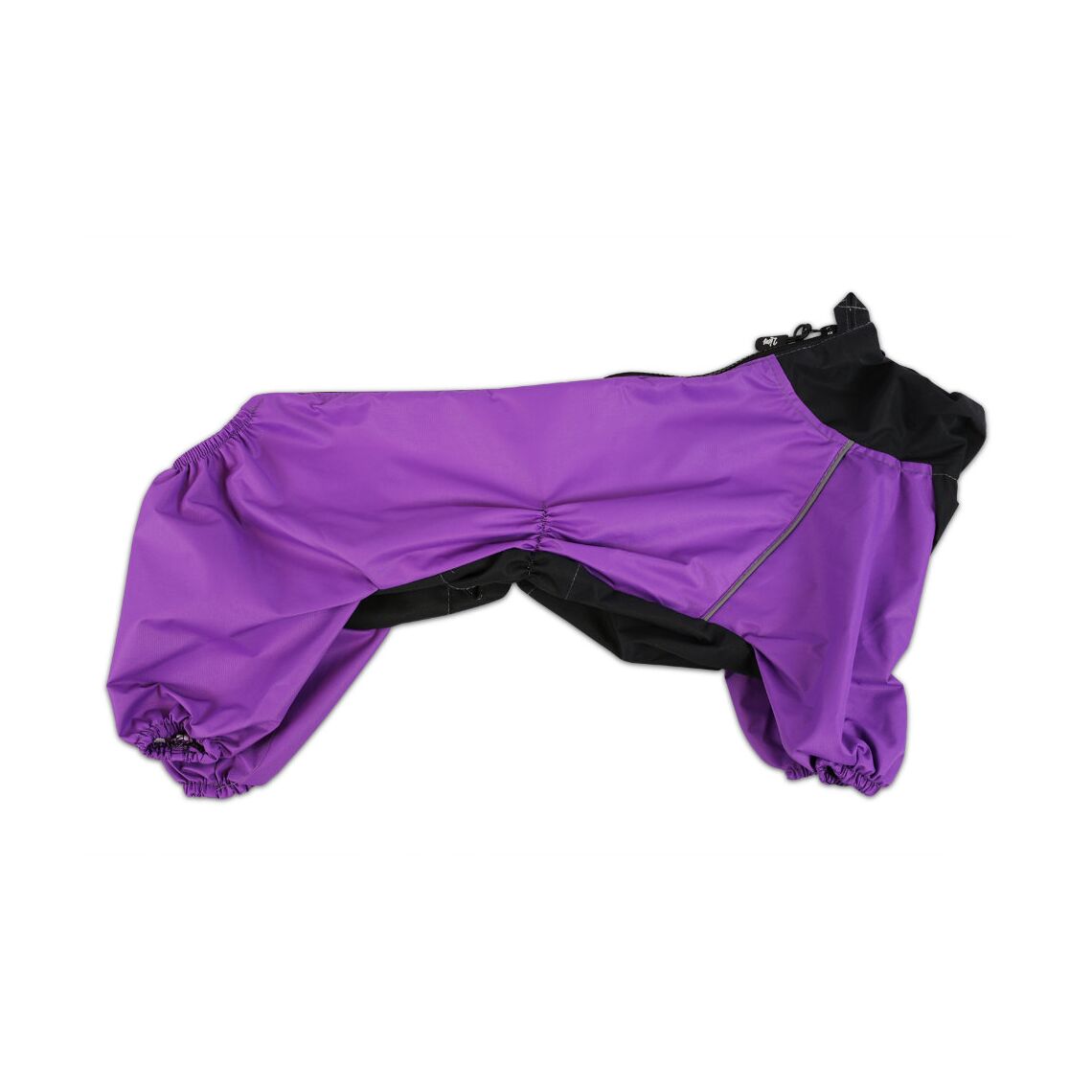 Дождевик (порода Джек Рассел-мальчик)