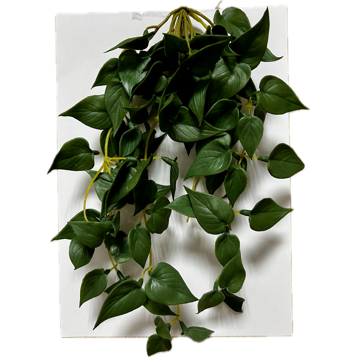 Искусственное растение Филодендрон 35 см