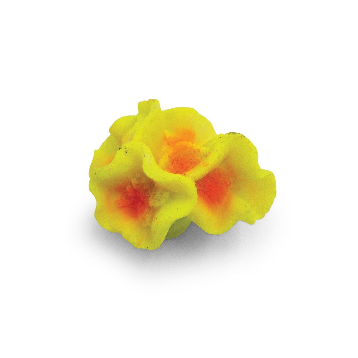 Laguna Коралл искусственный "Дискозома мини", 58x49x35мм