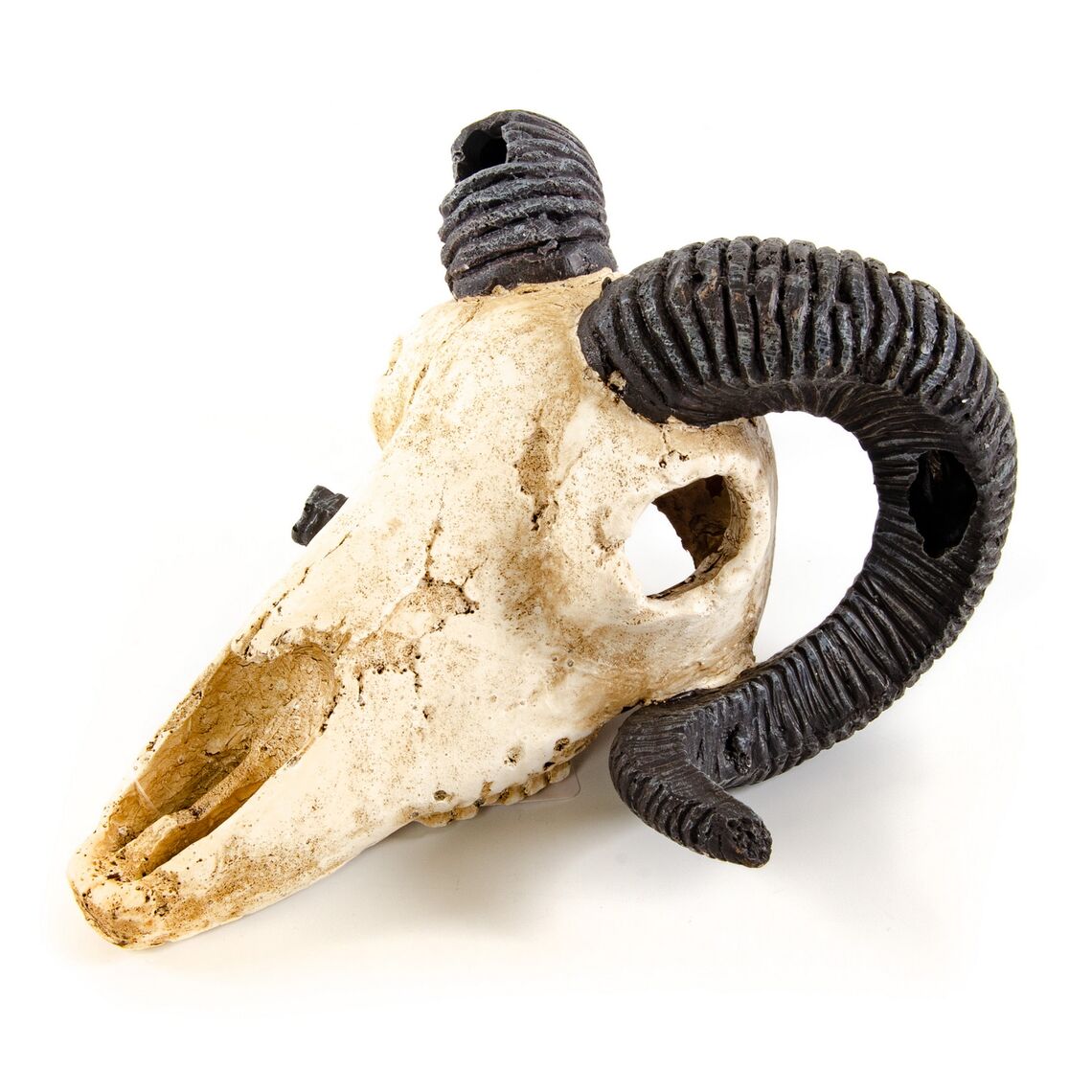 Exoprima Декорация для аквариума "Череп барана", 18,5х17х11см