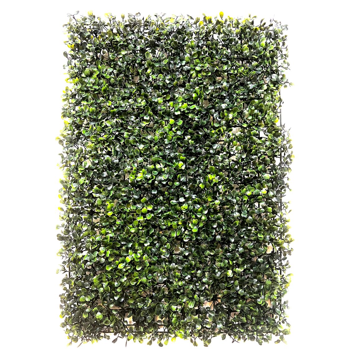 Коврик брусника 40*60 см (7592)