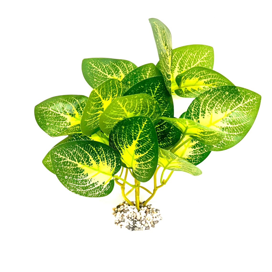 Искусственное растение "Диффенбахия зеленая" 25 см