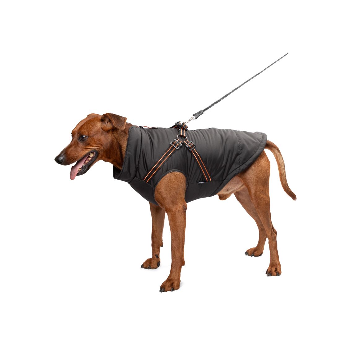 Gamma Жилет со шлейкой "Спорт" 2XL, 49*62см,