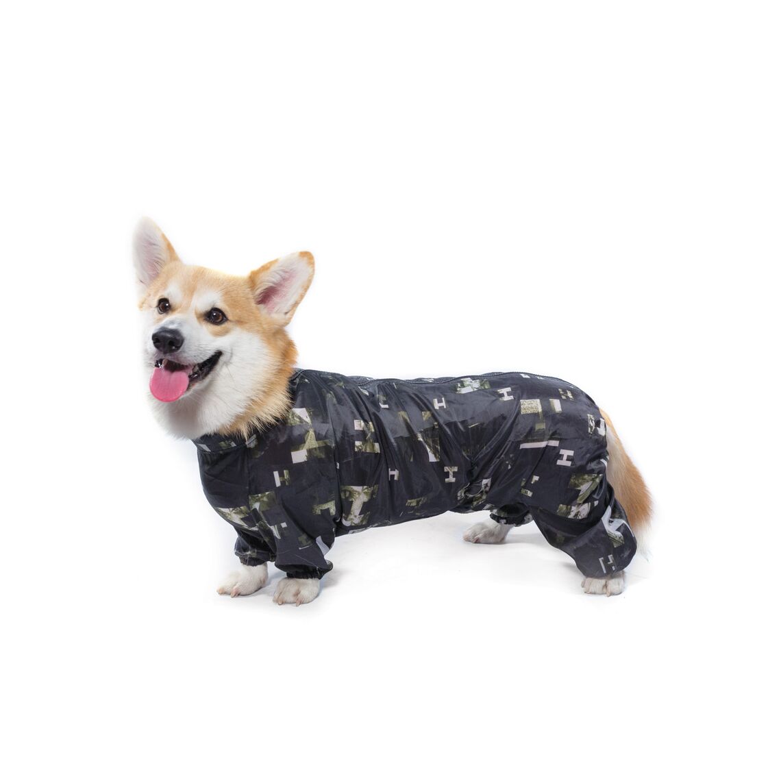 Gamma Комбинезон-дождевик "Корги", 49см