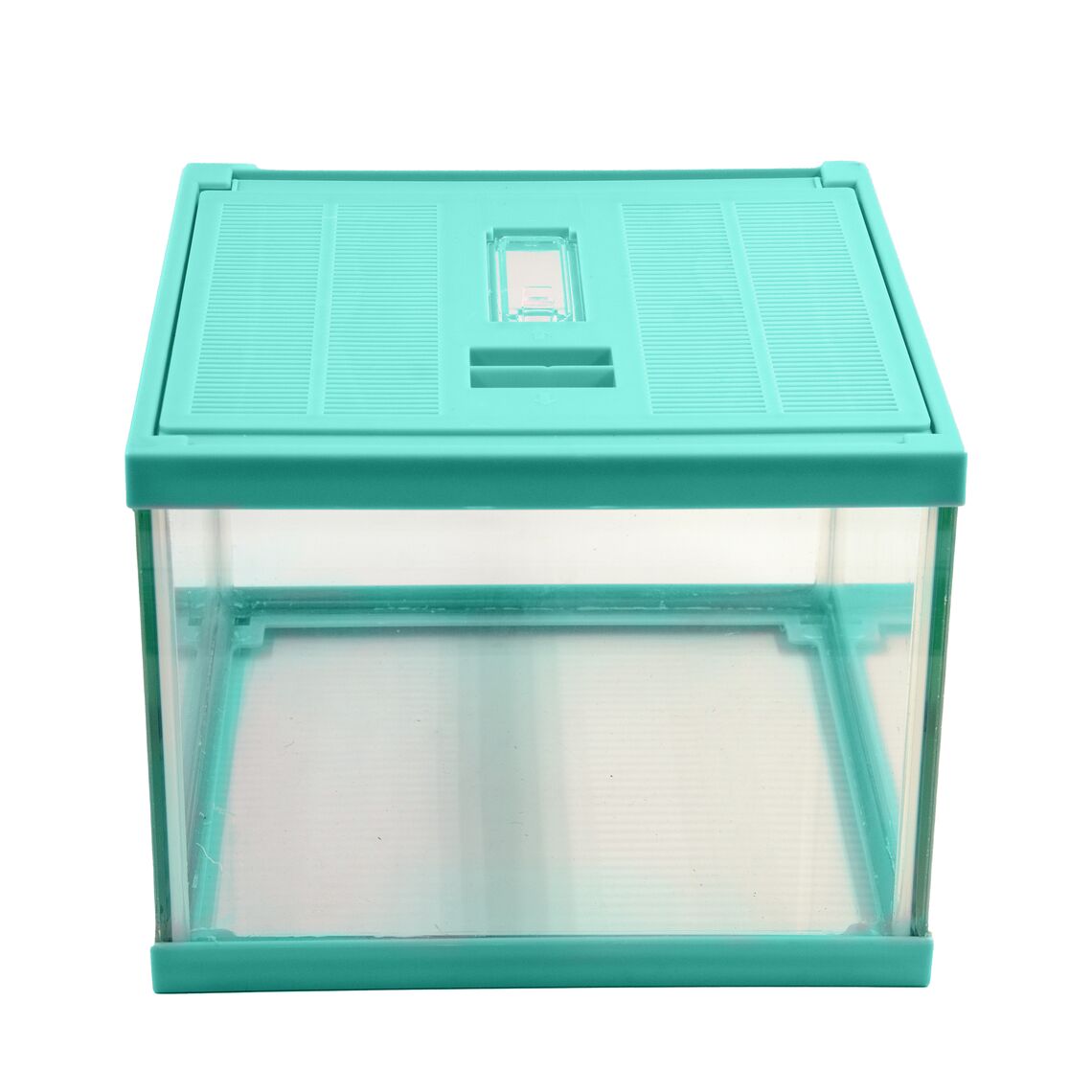 MCLANZOO Террариум стеклянный с верхней крышкой,зеленый, 20x20x15см