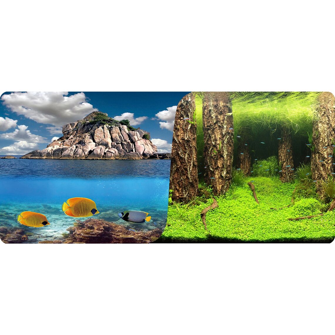 Фон двухсторонний 50см. Вулканический остров / Затопленный лес