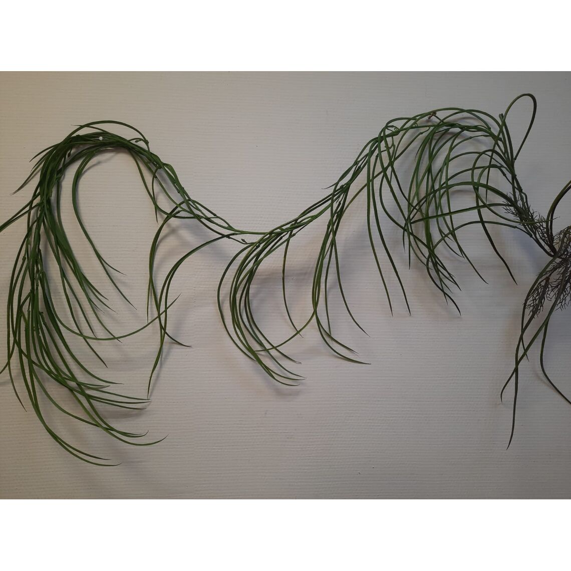 Искусственное растение "Лиана Осока" 200см 3353