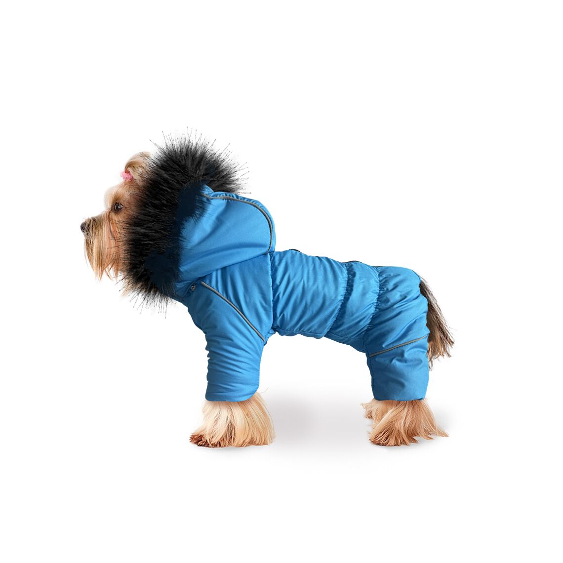 Комбинезон "Аляска" размер M (той терьер, чихуа-хуа) голубой ZooTREND