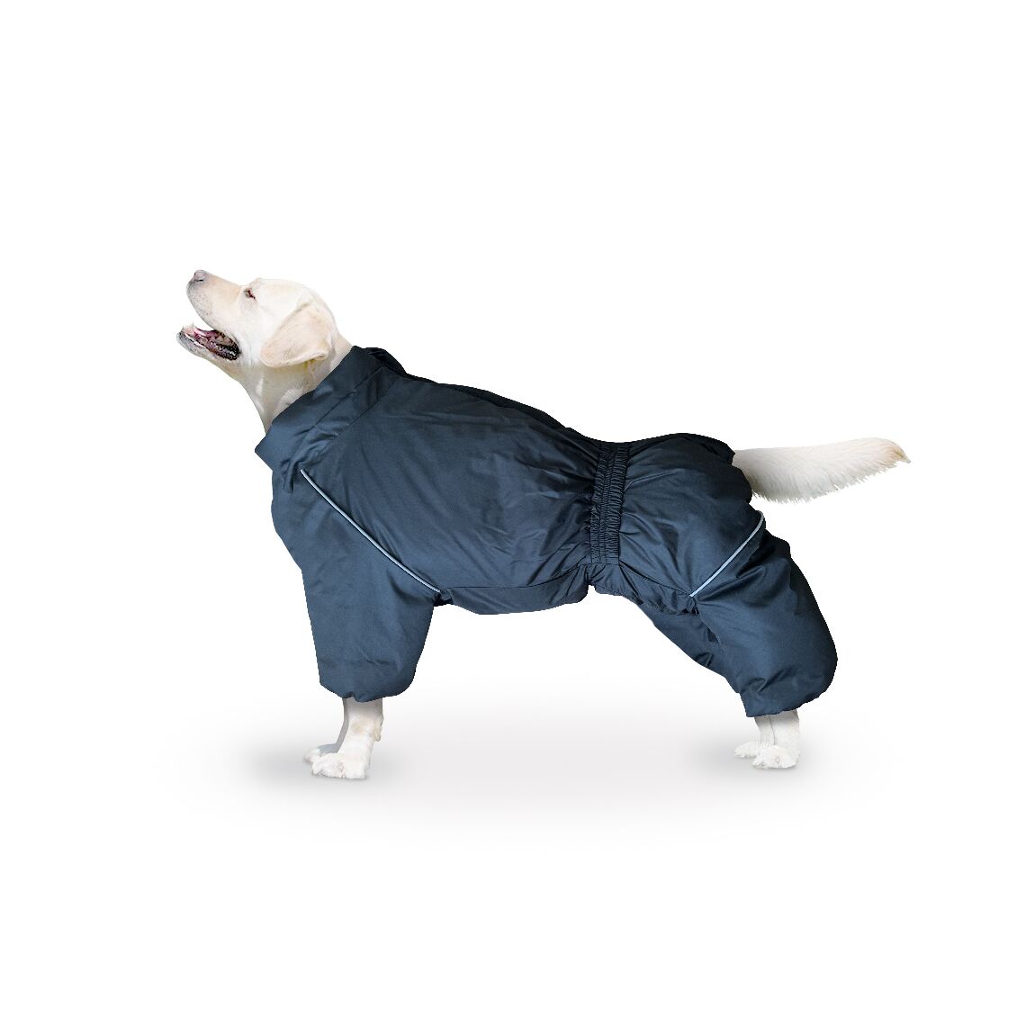 Дождевик "Актив" размер 5XL (долматинец, ретривер) черный ZooTREND