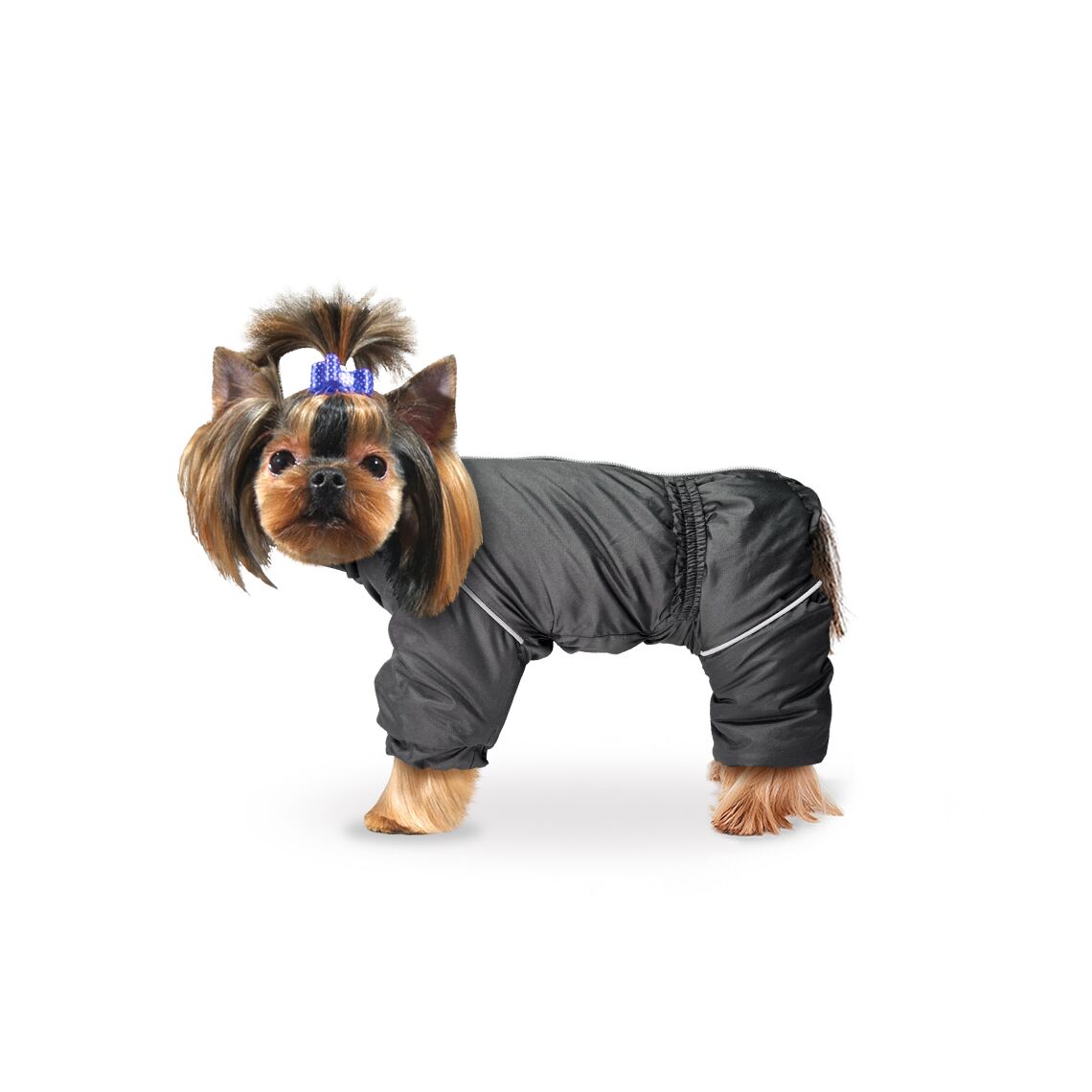 Комбинезон "Актив" размер L (китайская хохлатая, той пудель) черный ZooTREND