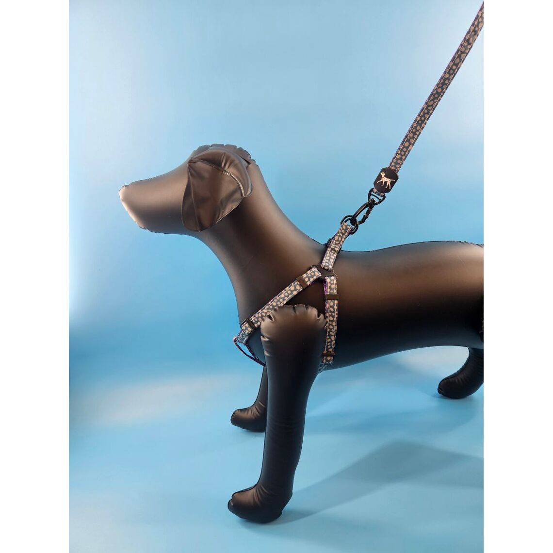 Поводок + шлейка для домашних животных Горошек светло-синий VT-08-LBL